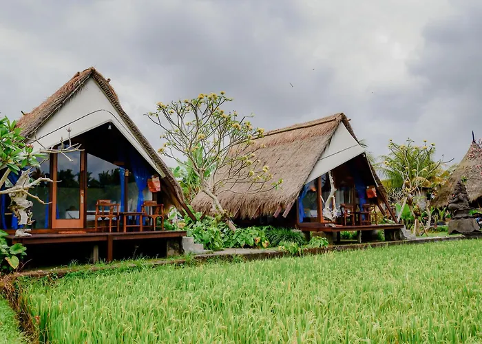 Villa Rice Field - Mahari By Wahm