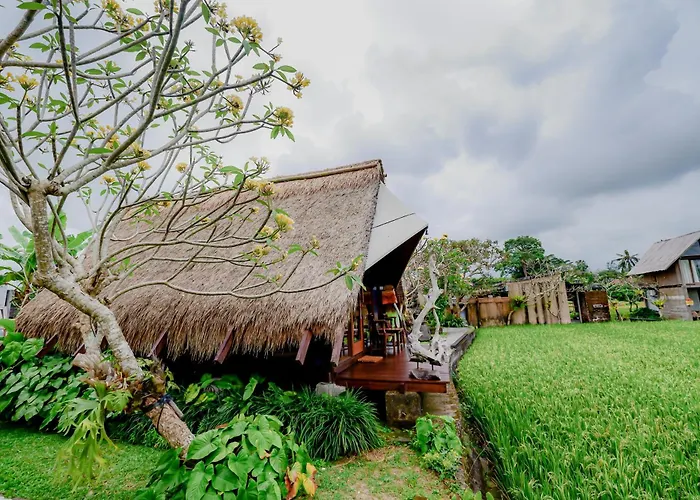 Villa Rice Field - Mahari By Wahm