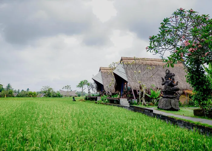Rice Field - Mahari By Wahm Villa *