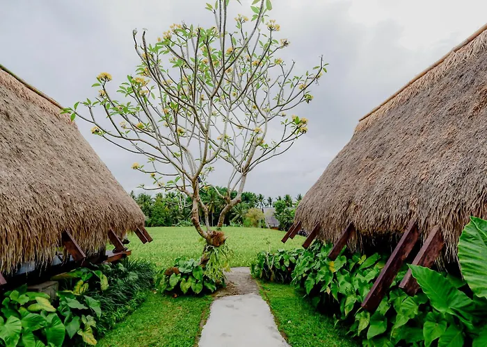 Villa Rice Field - Mahari By Wahm Ubud