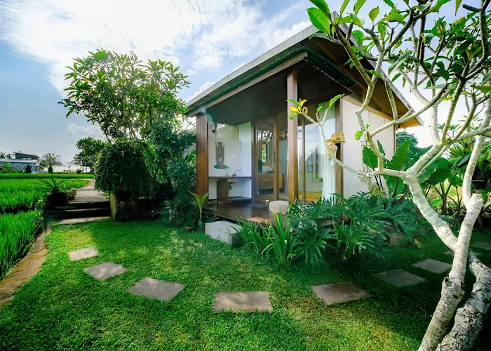 Villa Rice Field - Mahari By Wahm