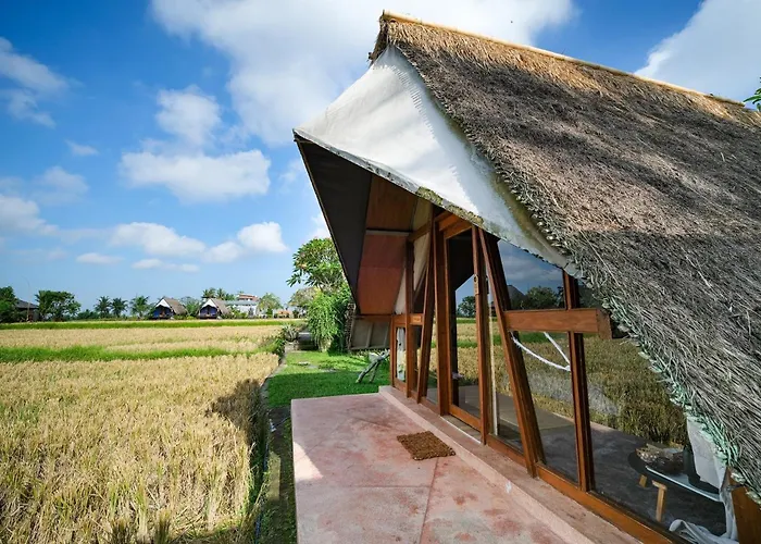 Rice Field - Mahari By Wahm Villa Ubud